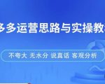 拼多多店铺运营思路与实操教程,快速学会拼多多开店和运营,少踩坑,多盈利-学习资源社
