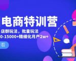 美团电商特训营:美团·店群玩法,无脑铺货月产出6000-15000+精细化月产2w+-学习资源社