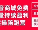 抖音商城搜索持续盈利陪跑成长营,抖音商城搜索从0-1、从1到10的全面解决方案-学习资源社