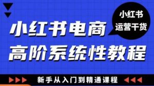 小红书电商高阶系统教程,新手从入门到精通系统课-学习资源社