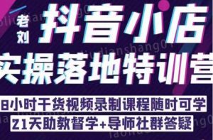 抖音小店实操落地特训营:抖音小店无货源精细化运营,抖店商品卡流量(22节)-学习资源社