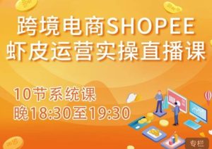 跨境电商Shopee虾皮运营实操直播课,从零开始学,入门到精通(10节系统课)-学习资源社
