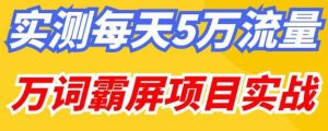 百度万词霸屏实操项目引流课,30天霸屏10万关键词-学习资源社
