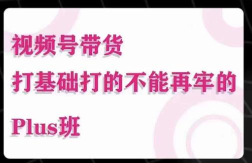 大播汇·视频号带货Puls班，视频号底层逻辑，起号自然流鱼塘等玩法-学习资源社