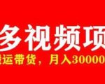 多多带货视频快速50爆款拿带货资格，搬运带货，月入30000【全套脚本+详细玩法】-学习资源社