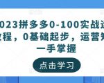 2023拼多多0-100实战运营教程,0基础起步,运营知识一手掌握-学习资源社