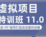 陆明明·虚拟项目特训班(10.0+11.0),0成本获取虚拟素材,0基础打造自动盈利店铺-学习资源社