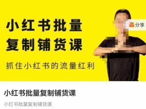 张宾·小红书批量复制铺货课,抓住小红书的流量红利 (更新2023年2月)-学习资源社