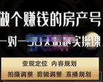 刘广标·同城房产号线上陪跑课,拍摄、剪辑、写文案、直播,做一个具有潜力价值的房产号-学习资源社