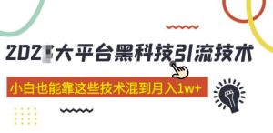 大平台黑科技引流技术,小白也能靠这些技术混到月入1w+(2022年的课程)-学习资源社