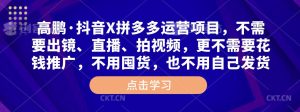 高鹏·抖音X拼多多运营项目,不需要出镜、直播、拍视频,不需要花钱推广,不用囤货,不用自己发货-学习资源社
