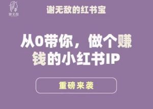 谢无敌·小红书运营大宝典,从0带你做个赚钱的小红书IP-学习资源社