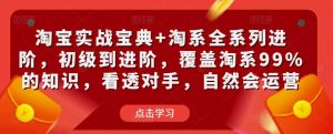 淘宝实战宝典+淘系全系列进阶,初级到进阶,覆盖淘系99%的知识,看透对手,自然会运营-学习资源社