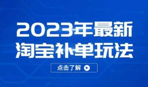 2023年最新淘宝补单玩法,18节课让教你快速起新品,安全不降权-学习资源社