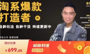 锋投老叶全店动销,淘系干货汇总,各种玩法,淘系爆款打造者-学习资源社