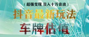 抖音最新无人直播变现直播车牌估值玩法项目,轻松日赚几百+【详细玩法教程】-学习资源社