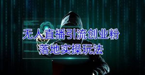 外面收费3980的无人直播引流创业粉落地实操玩法,单日引100+精准创业粉-学习资源社