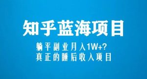 知乎蓝海玩法,躺平副业月入1W+,真正的睡后收入项目(6节视频课)-学习资源社