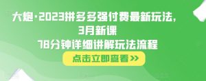 大炮·2023拼多多强付费最新玩法,3月新课78分钟详细讲解玩法流程-学习资源社