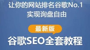 谷歌SEO实战教程:如何让你的网站在谷歌排名第一,内容从入门到高阶,适合个人及团队-学习资源社