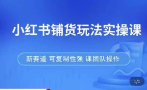 小红书铺货玩法实操课,流量大,竞争小,非常好做,新赛道,可复制性强,可团队操作-学习资源社