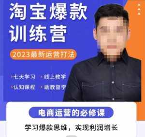 爱上黄昏·淘宝爆款训练营,2023最新运营打法,学习爆款思维,实现利润增长-学习资源社