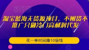 淘宝蓝海无货源项目,不囤货不推广只做冷门高利润代发,花一半时间赚10倍钱-学习资源社