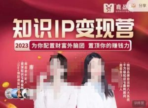 鹿盈盈-知识IP变现实操营,普通人可复制的知识产品落地实操课,带你打通知识IP变现底层逻辑-学习资源社