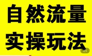 拼多多自然流量天花板,拼多多自然流的实操玩法,自然流量是怎么来的,如何开车带来自然流等知识-学习资源社