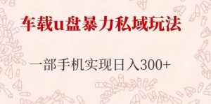 车载u盘暴力私域玩法,长期项目,仅需一部手机实现日入300+-学习资源社