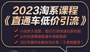 2023直通车低价引流玩法课程,小成本大流量,低价引流快速拉新收割,让你快速掌握直通车突破瓶颈-学习资源社