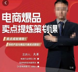 大圣·电商标品爆款卖点策划课,标品卖点成就爆款,可落地卖点提炼课-学习资源社