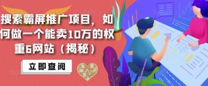 搜索霸屏推广项目,如何做一个能卖10万的权重6网站(揭秘)-学习资源社