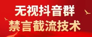 外面卖1500抖音粉丝群无视禁言截流技术,抖音黑科技,直接引流,0封号-学习资源社