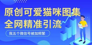 黑科技纯原创可爱猫咪图片,全网精准引流,实操5个VX号被加频繁-学习资源社