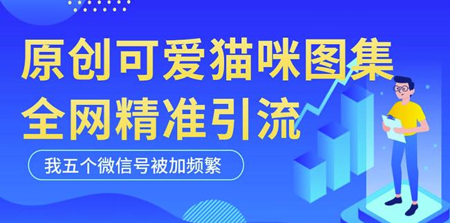 黑科技纯原创可爱猫咪图片，全网精准引流，实操5个VX号被加频繁-学习资源社