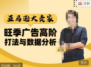 阿甘·亚马逊大卖家广告高阶打法与数据分析,走出传统广告误区;揭秘大卖惯用打法;数据驱动广告决策-学习资源社