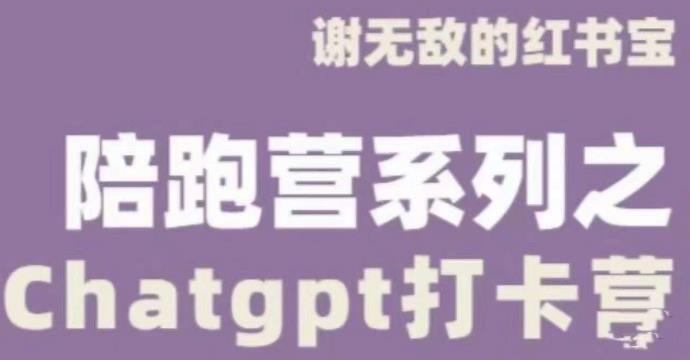 谢无敌ChatGPT打卡营，教你更好地使用ChatGPT来提高工作效率-学习资源社