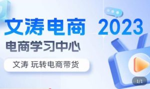 文涛电商·7天零基础自然流起号,快速掌握店铺运营的核心玩法,突破自然展现量,玩转直播带货-学习资源社