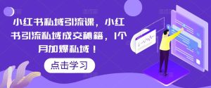 小红书私域引流课,小红书引流私域成交秘籍,1个月加爆私域!-学习资源社