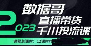 数据哥2023直播电商巨量千川付费投流实操课,快速掌握直播带货运营投放策略-学习资源社