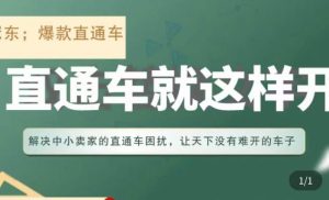冠东·淘系直通车保姆级教程,全面讲解直通车就那么简单-学习资源社