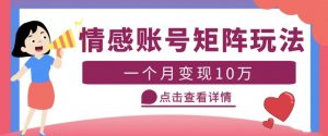 云天情感账号矩阵项目,简单操作,月入10万+可放大(教程+素材)-学习资源社