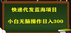 2023最新蓝海快递代发项目,小白零成本照抄也能日入300+-学习资源社