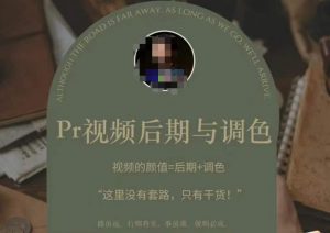 Pr视频后期与调色,视频颜值=后期+调色,这里没有套路,只有干货!-学习资源社