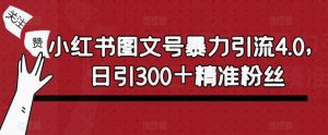 小红书图文号暴力引流4.0,日引300+精准粉丝【揭秘】-学习资源社