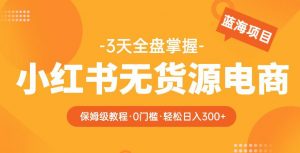 2023【阿本小红书无货源电商训练营】保姆级教程,从0到1,3天全盘掌握,轻松日入300+-学习资源社