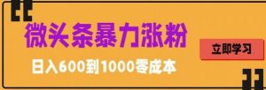 微头条暴力涨粉技巧搬运文案就能涨几万粉丝,简单0成本,日赚600【揭秘】-学习资源社