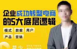 企业成功转型电商的5大底层逻辑,从模式、数据、用户、产品、营销5大板块,助你高效转型电商赛道-学习资源社