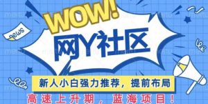 有道词典WOW社区项目,新人小白强力推荐,提前布局,高速上升期,蓝海项目【揭秘】-学习资源社